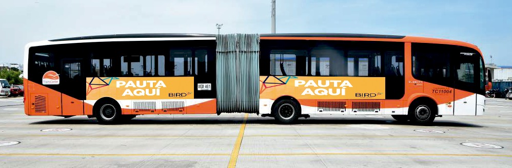 Buses Cartagena